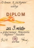 0248-Diplom-1988-Memoriál-ŠB.JPG - 